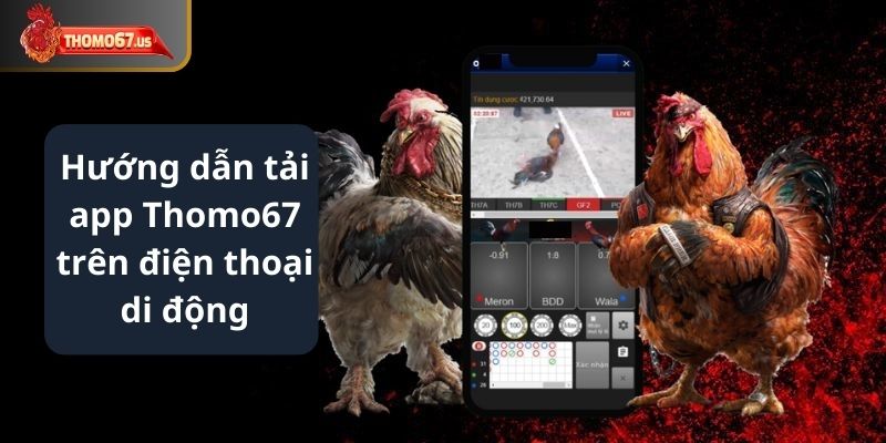 Hướng dẫn tải app Thomo67 trên điện thoại di động.