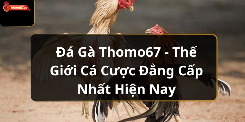 da-ga-thomo67