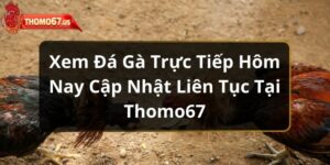 da-ga-truc-tiep-hom-nay