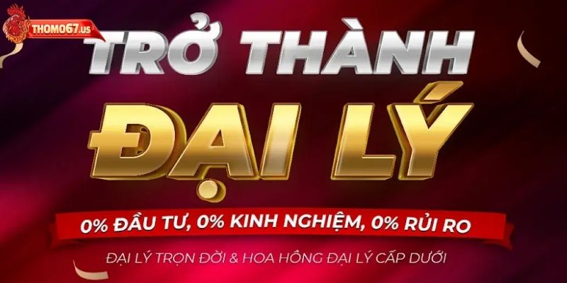 Thông tin tổng quan về đại lý Thomo67