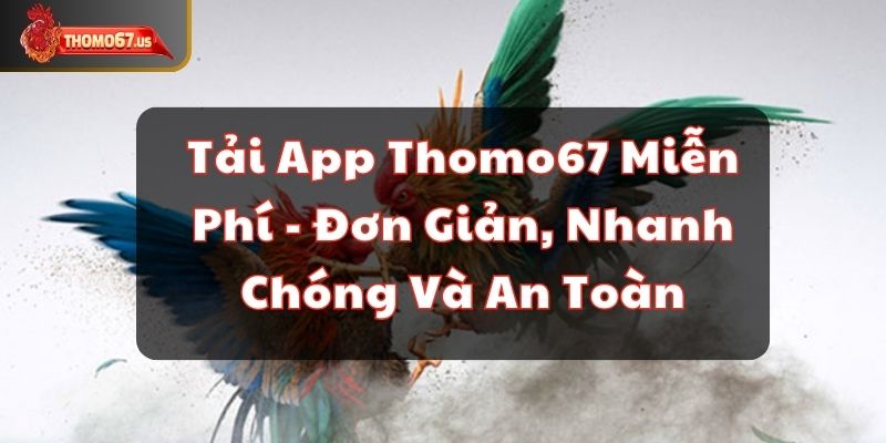 tai-app-thomo67