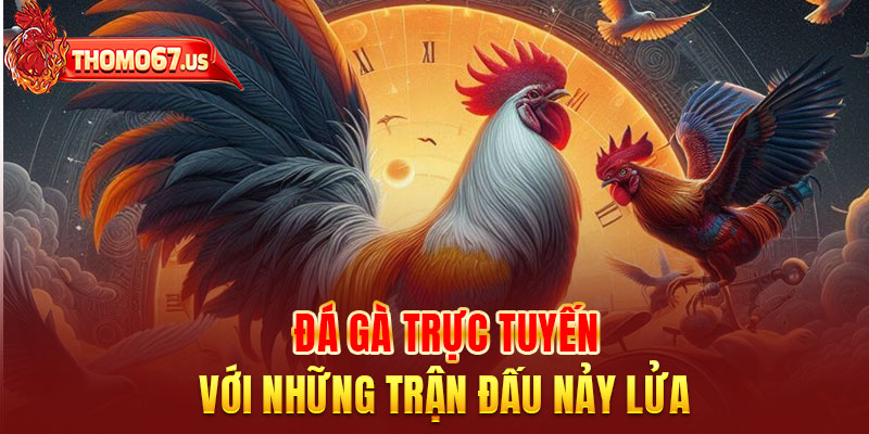 Đá gà trực tuyến với những trận đấu nảy lửa