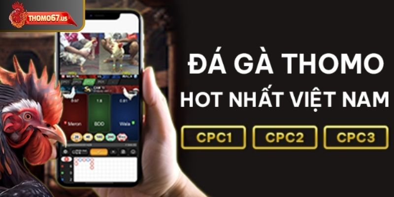 Các ưu điểm nổi bật của app Thomo67